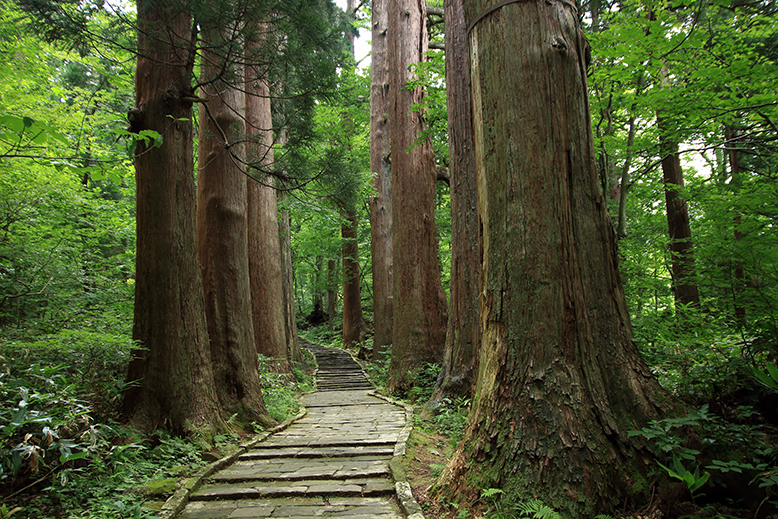 羽黒山