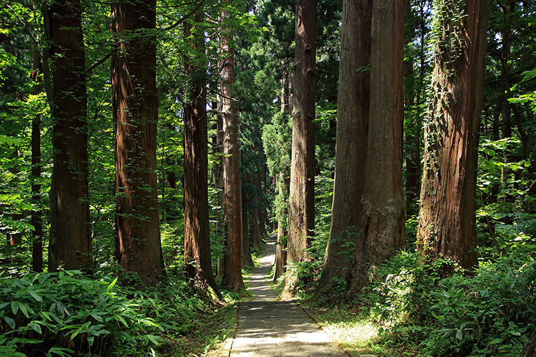 羽黒山