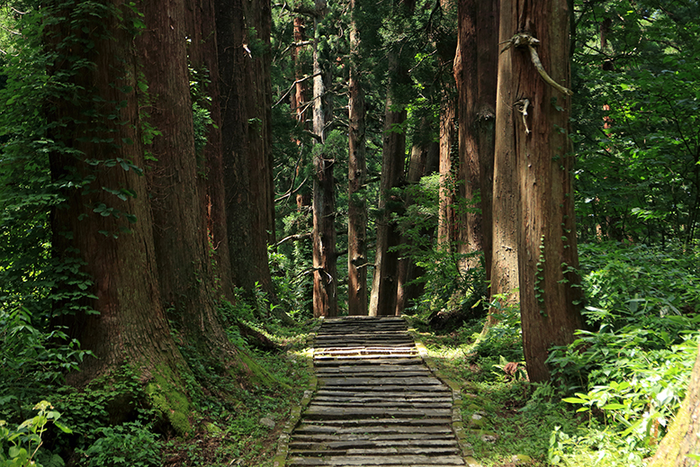 羽黒山