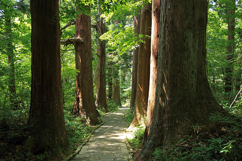 羽黒山