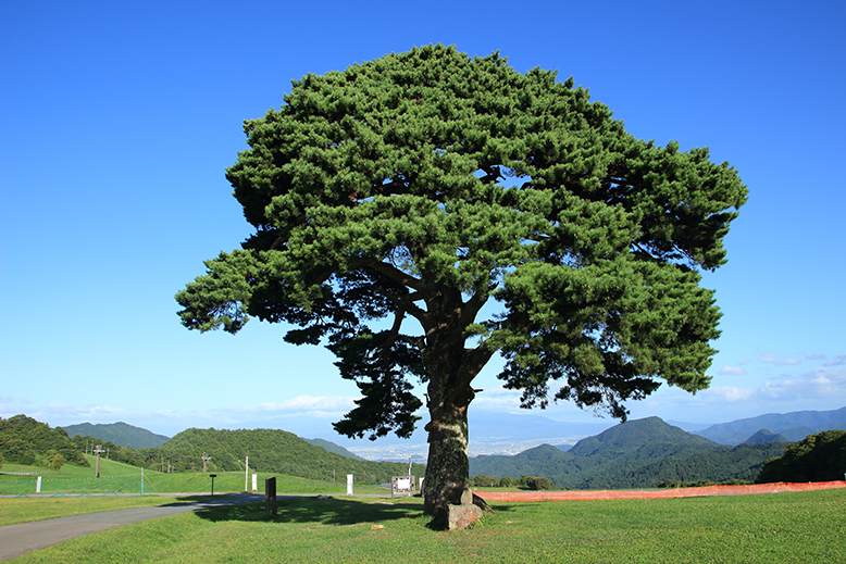 面白山
