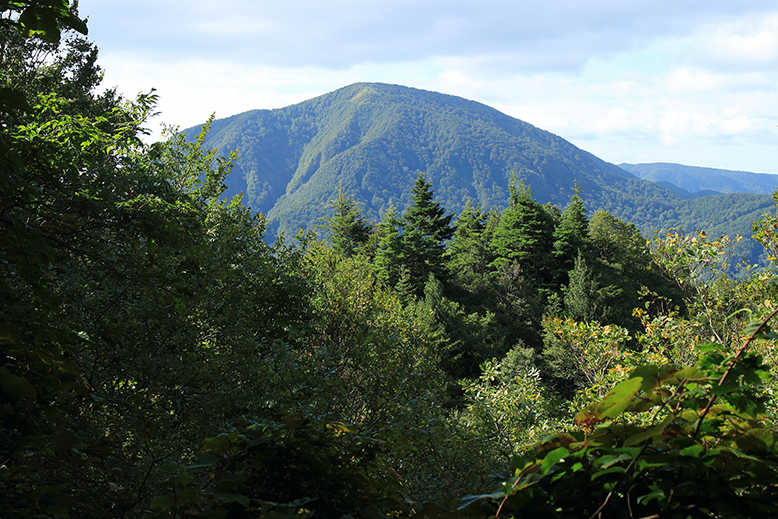 面白山