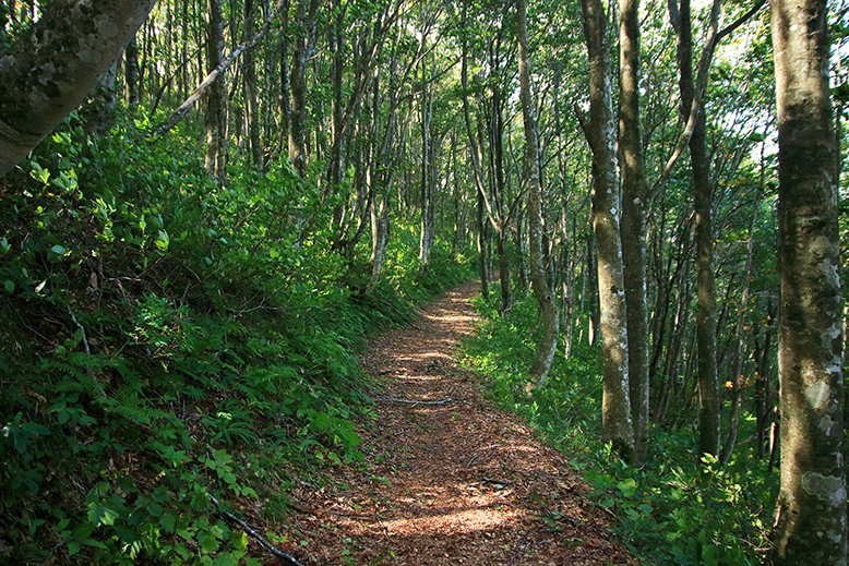 面白山