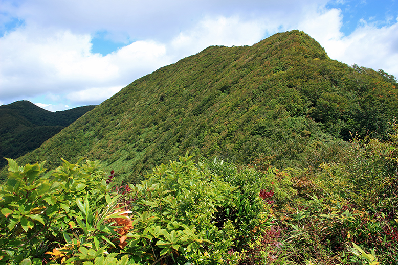 面白山