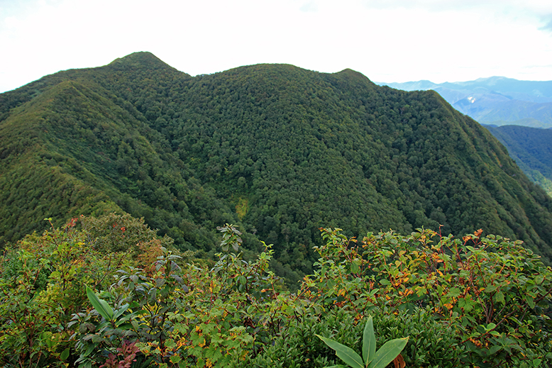 面白山