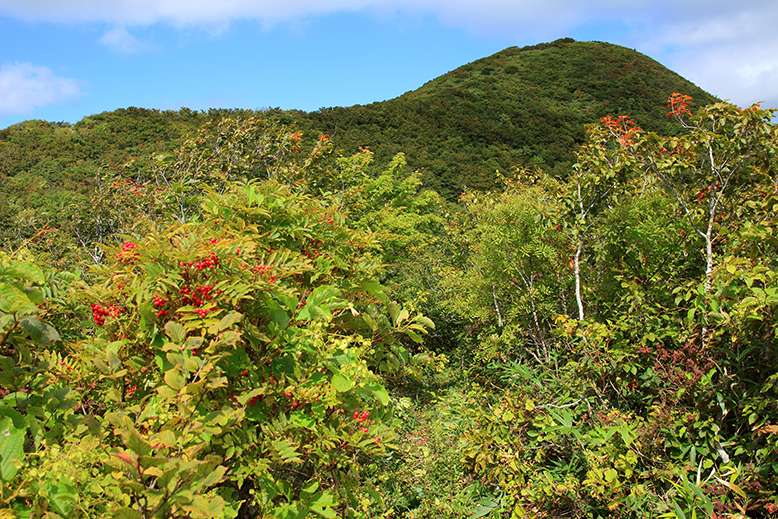 面白山