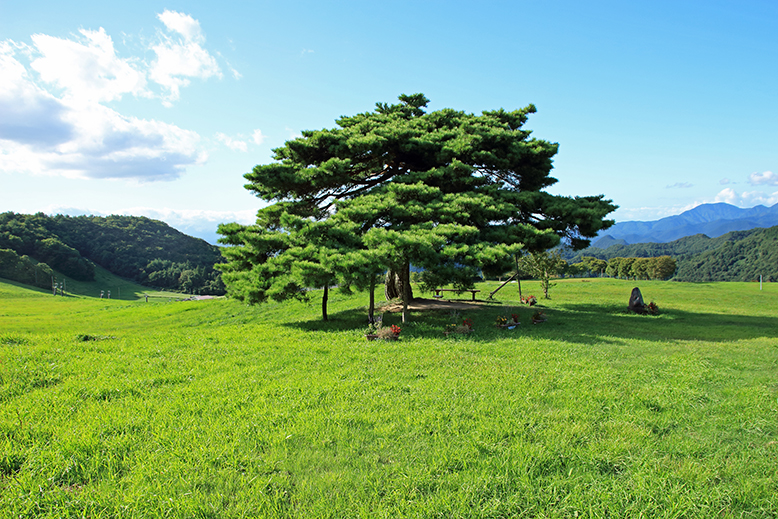 面白山
