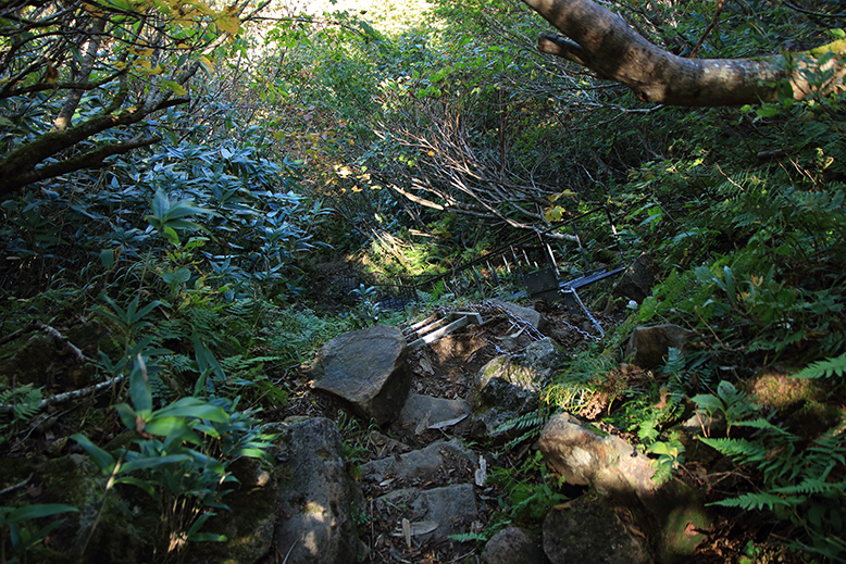 湯殿山神社