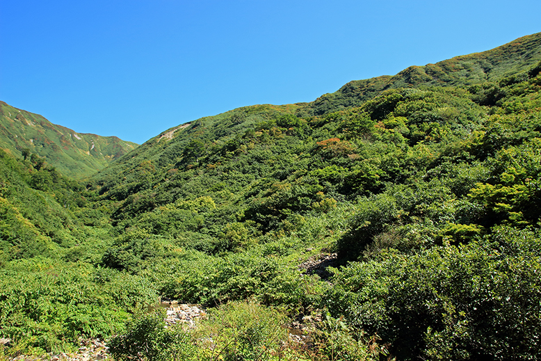 湯殿山神社