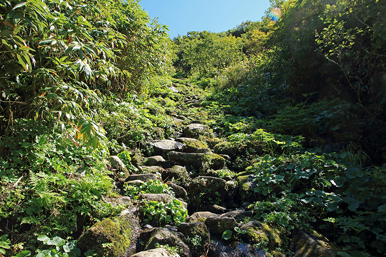 湯殿山神社