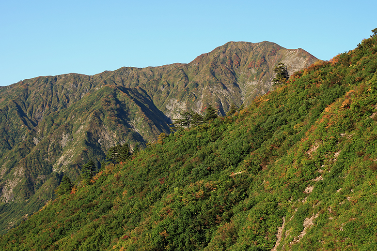 障子ヶ岳