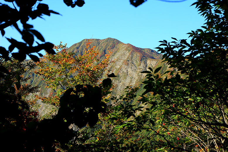 障子ヶ岳