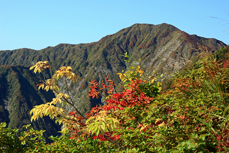 障子ヶ岳