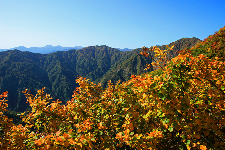 障子ヶ岳