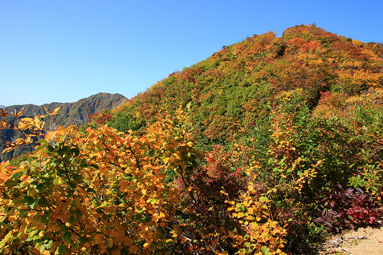 障子ヶ岳