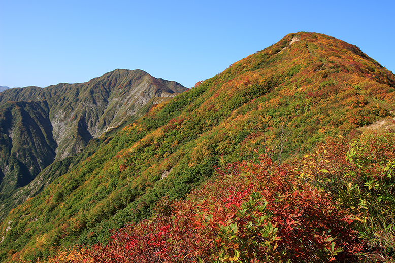 障子ヶ岳