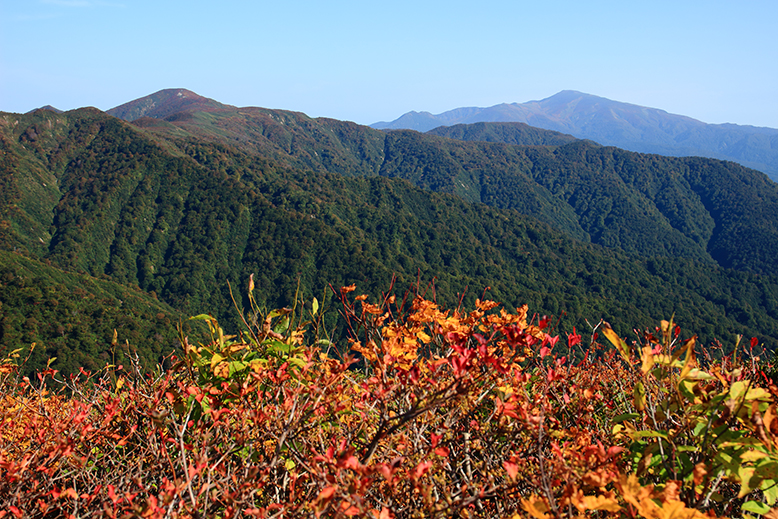 障子ヶ岳