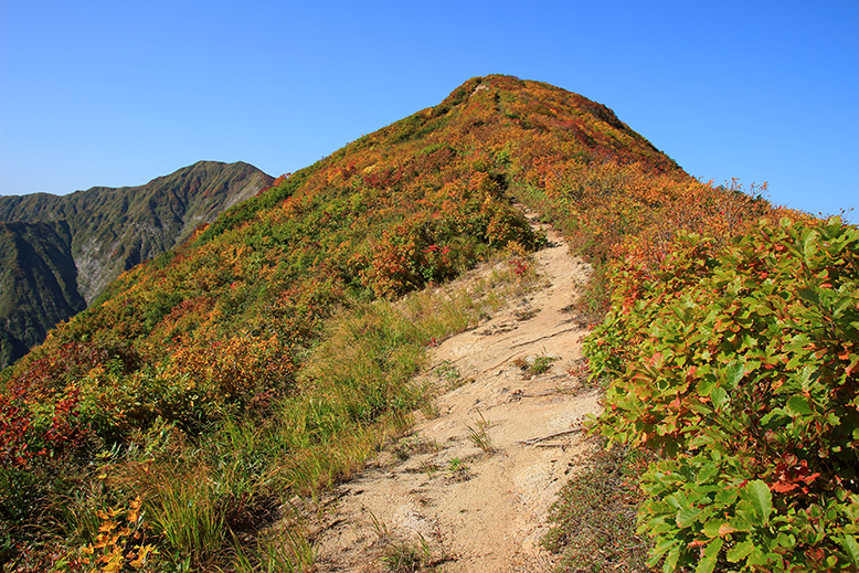 障子ヶ岳