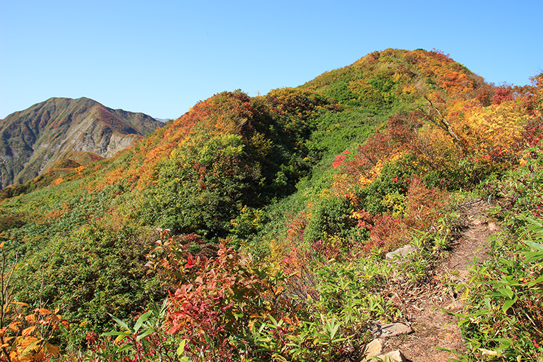 障子ヶ岳