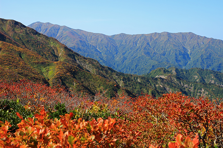 障子ヶ岳