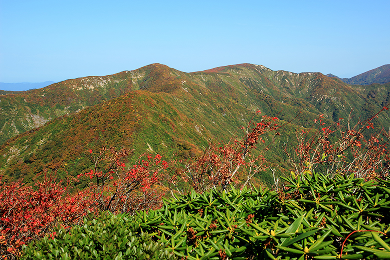 障子ヶ岳