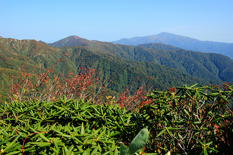 障子ヶ岳