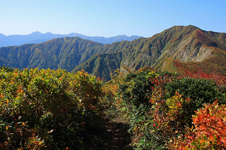 障子ヶ岳