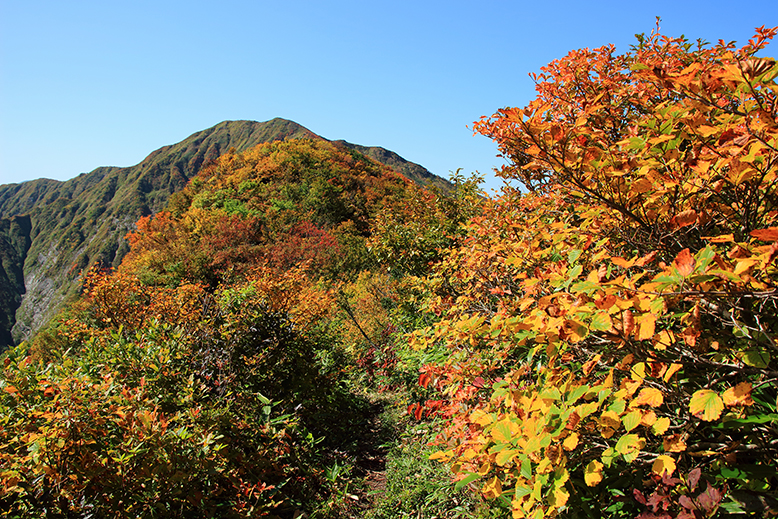 障子ヶ岳