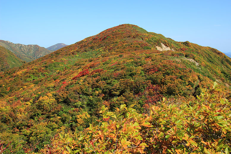 障子ヶ岳