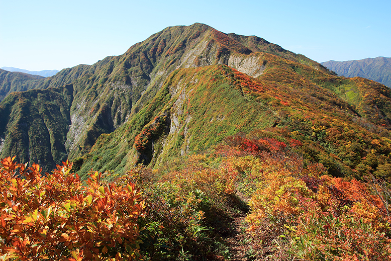 障子ヶ岳