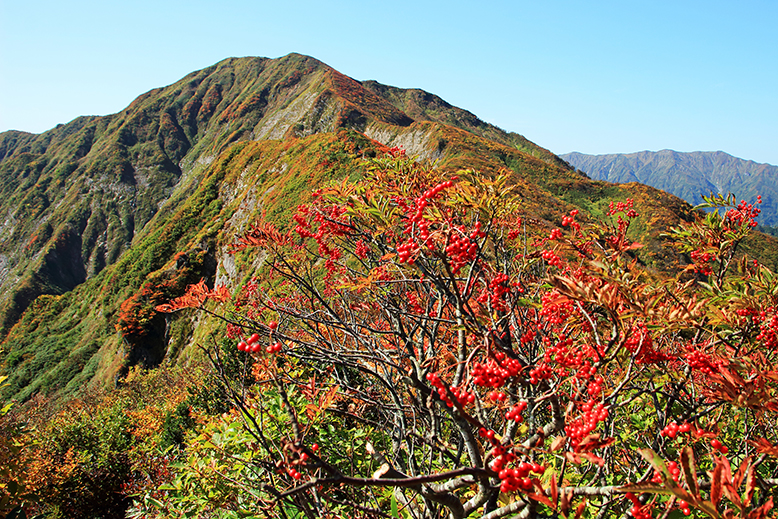 障子ヶ岳