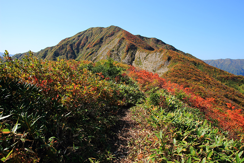 障子ヶ岳