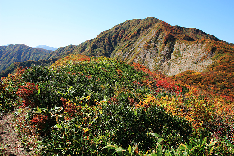 障子ヶ岳