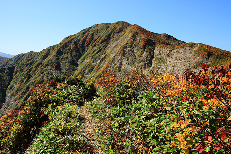 障子ヶ岳