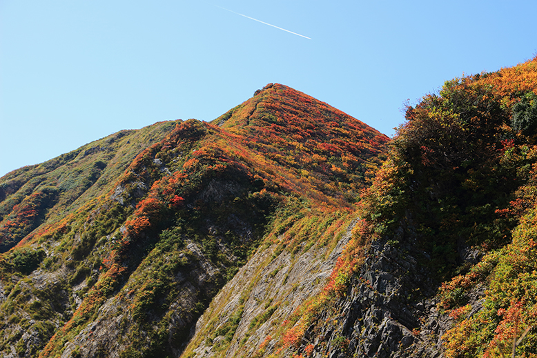障子ヶ岳