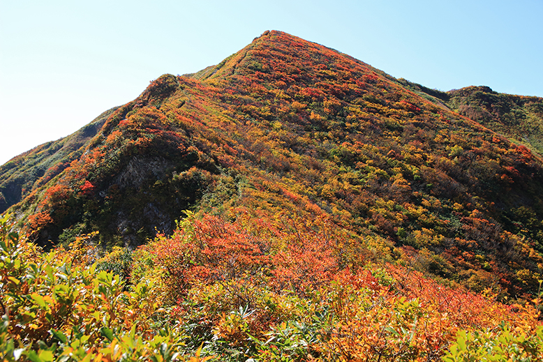障子ヶ岳