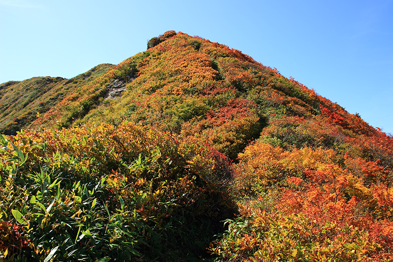 障子ヶ岳