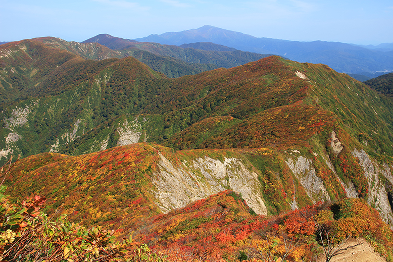 障子ヶ岳