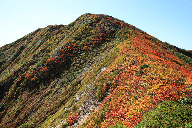 障子ヶ岳