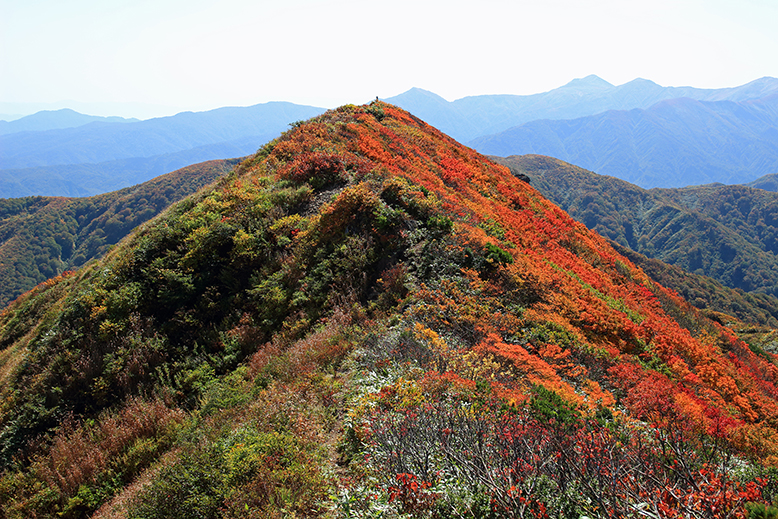障子ヶ岳