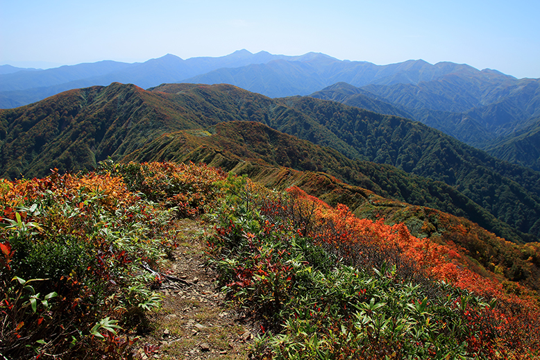 障子ヶ岳