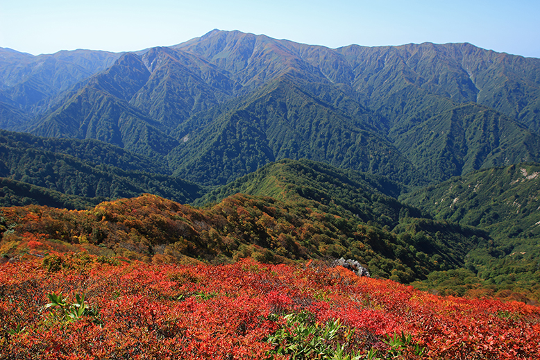 障子ヶ岳