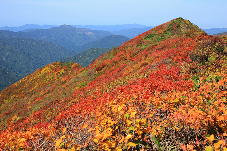 障子ヶ岳