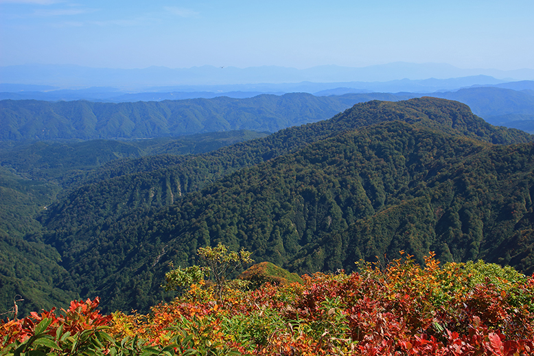 障子ヶ岳