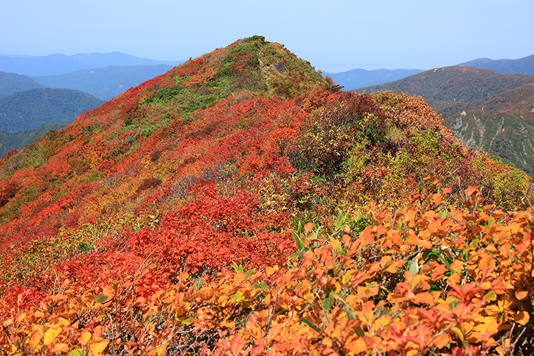 障子ヶ岳