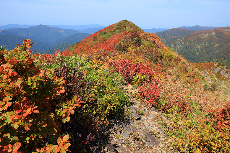 障子ヶ岳