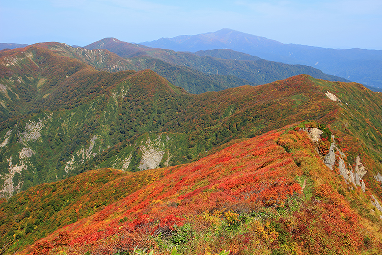 障子ヶ岳