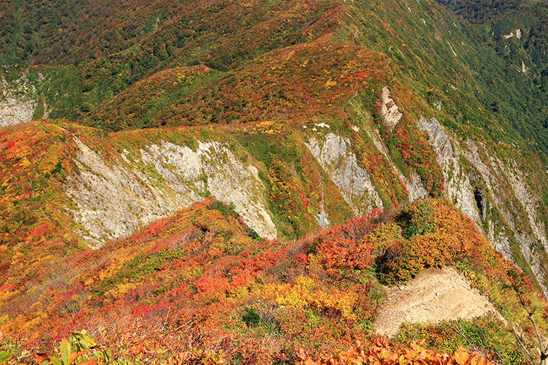 障子ヶ岳