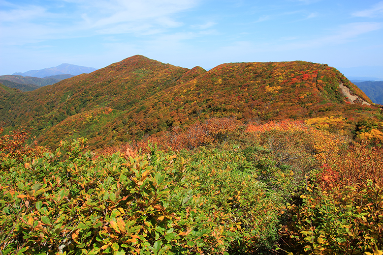 障子ヶ岳
