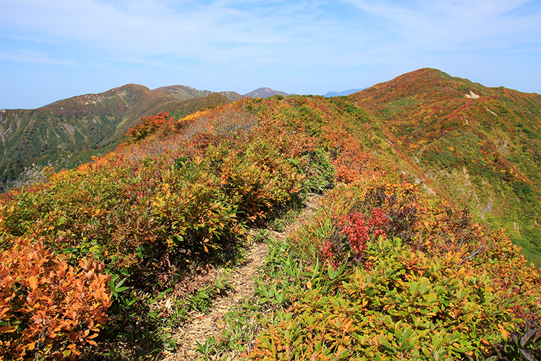 障子ヶ岳